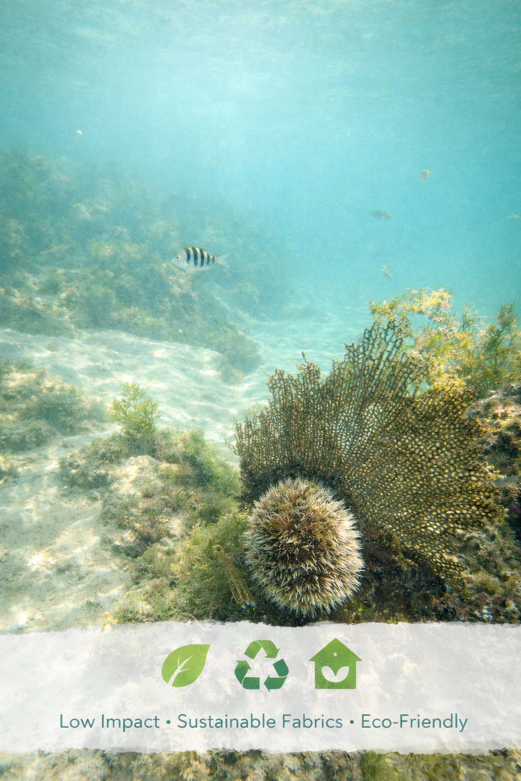 Our First Collection: ECO